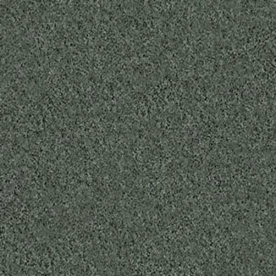 MY CHOICE I - Bay Laurel 00351 MY CHOICE I - Bay Laurel 00351