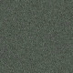 MY CHOICE I - Bay Laurel 00351 MY CHOICE I - Bay Laurel 00351