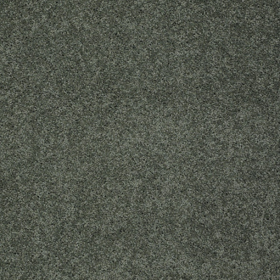 MY CHOICE I - Bay Laurel 00351 MY CHOICE I - Bay Laurel 00351