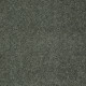 MY CHOICE I - Bay Laurel 00351 MY CHOICE I - Bay Laurel 00351