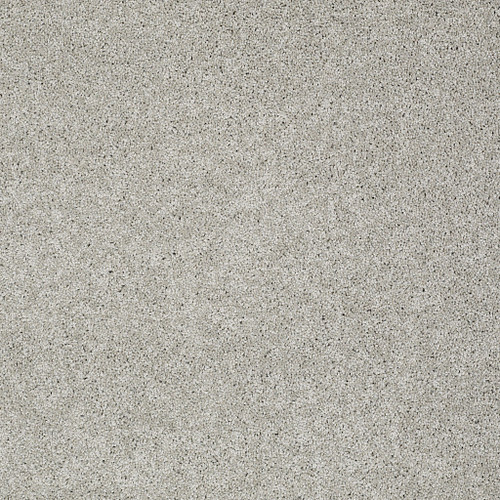 MY CHOICE I - Ash 00550