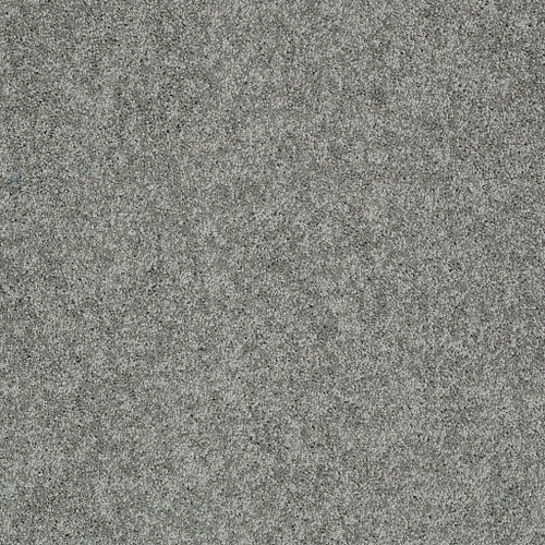 MY CHOICE I - Charcoal 00551