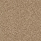 MY CHOICE I - Twig 00702 MY CHOICE I - Twig 00702