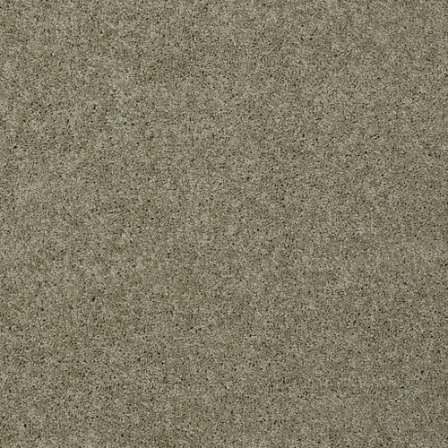 MY CHOICE I - Smooth Slate 00704