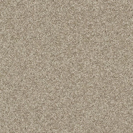 MY CHOICE I - Smooth Slate 00704