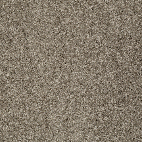 MY CHOICE I - Flax 00751