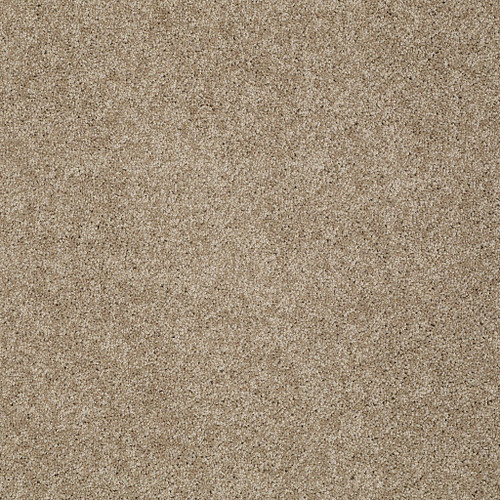 MY CHOICE I - Cappuccino 00756