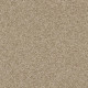 MY CHOICE I - Cappuccino 00756