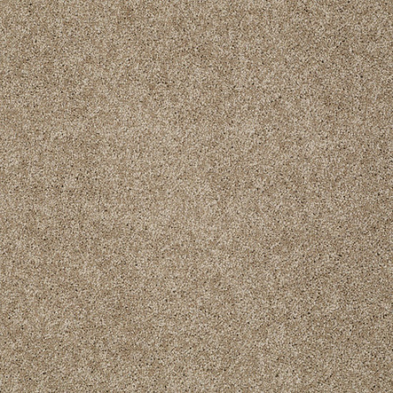 MY CHOICE I - Cappuccino 00756