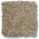 MY CHOICE I - Cappuccino 00756
