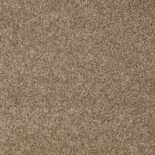 MY CHOICE I - Saffron 00757