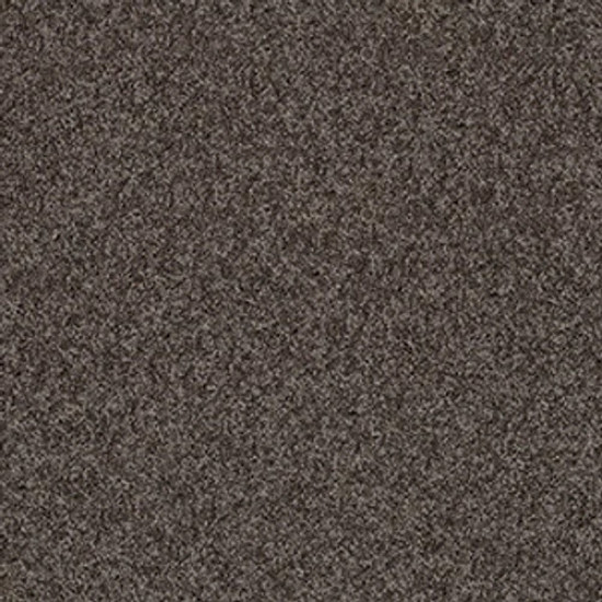 MY CHOICE I - Chocolate 00758