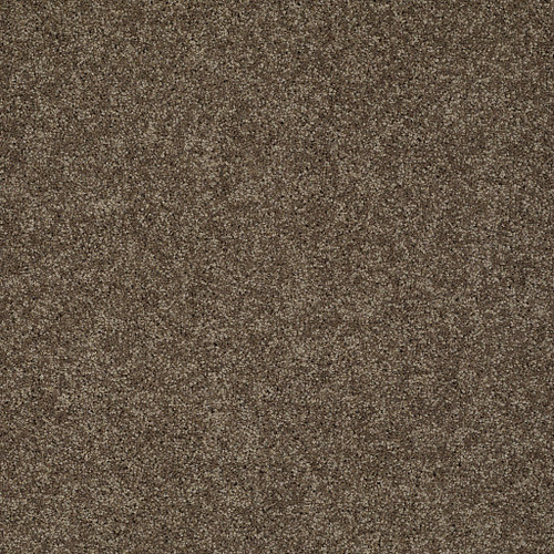 MY CHOICE I - Weathered Wood 00759