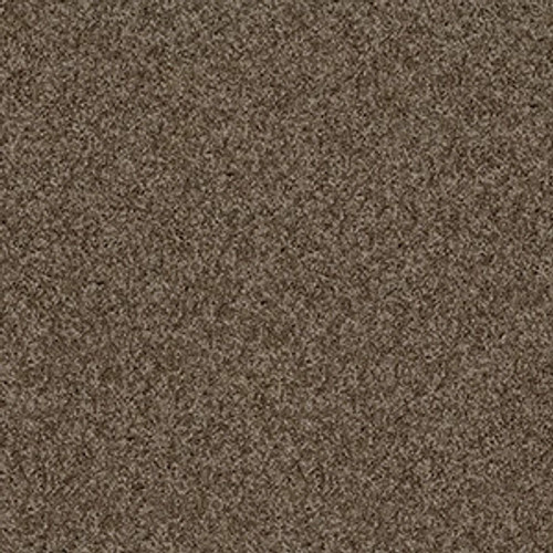 MY CHOICE I - Weathered Wood 00759