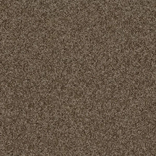 MY CHOICE I - Weathered Wood 00759 MY CHOICE I - Weathered Wood 00759