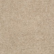 MY CHOICE II - Clay Stone 00108