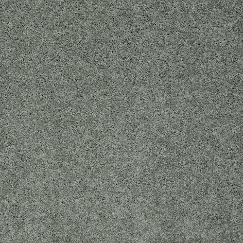 MY CHOICE II - Silver Sage 00350