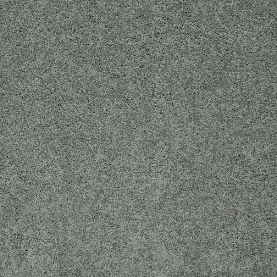 MY CHOICE II - Silver Sage 00350 MY CHOICE II - Silver Sage 00350