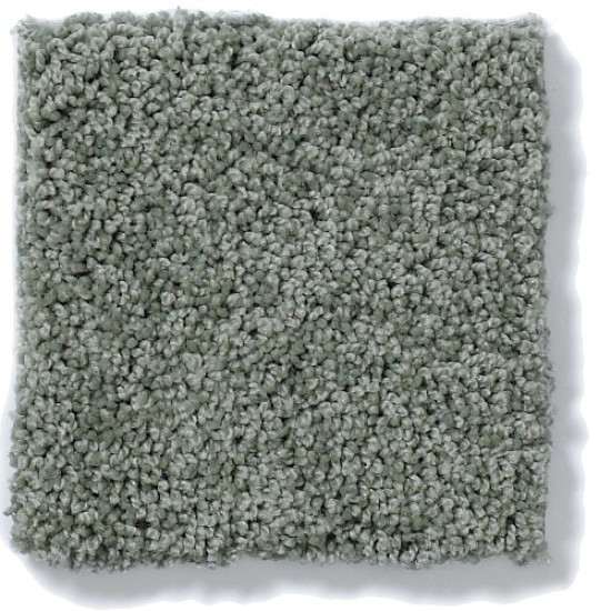 MY CHOICE II - Silver Sage 00350 MY CHOICE II - Silver Sage 00350