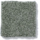 MY CHOICE II - Silver Sage 00350 MY CHOICE II - Silver Sage 00350
