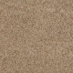 MY CHOICE II - Twig 00702 MY CHOICE II - Twig 00702