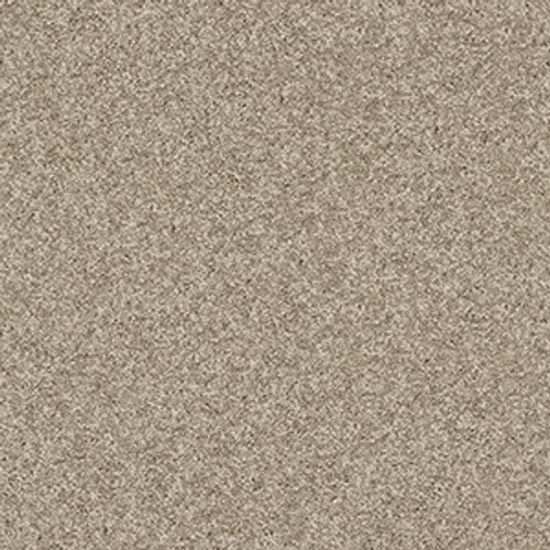 MY CHOICE II - Smooth Slate 00704