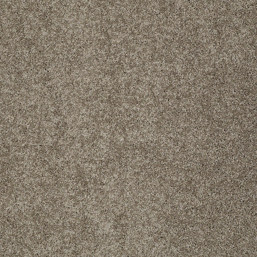 MY CHOICE II - Flax 00751