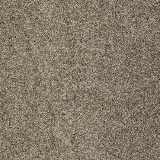 MY CHOICE II - Flax 00751 MY CHOICE II - Flax 00751