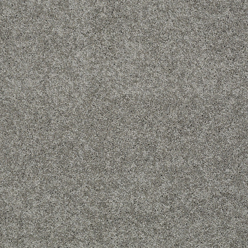 MY CHOICE II - Fog 00753