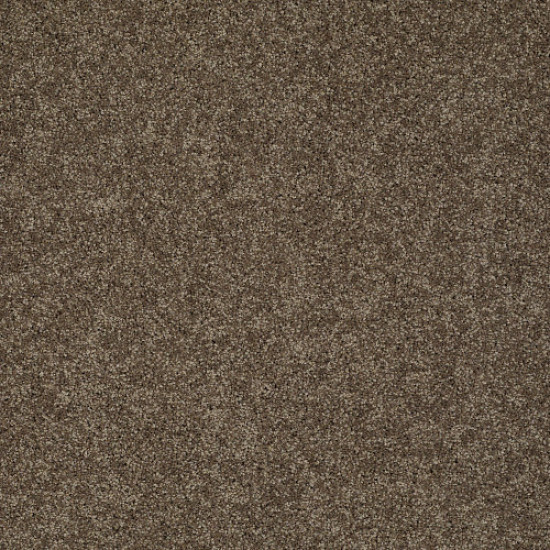 MY CHOICE II - Weathered Wood 00759 MY CHOICE II - Weathered Wood 00759