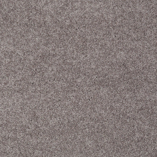MY CHOICE II - Sepia 00950 MY CHOICE II - Sepia 00950