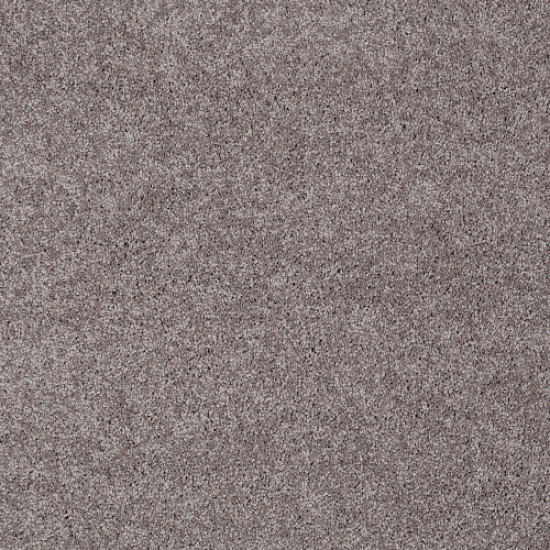 MY CHOICE II - Sepia 00950 MY CHOICE II - Sepia 00950
