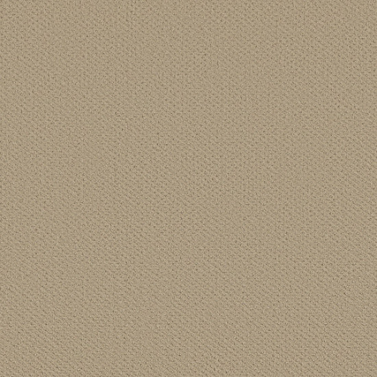 INFALLIBLE INSTINCT - Boutique 00184