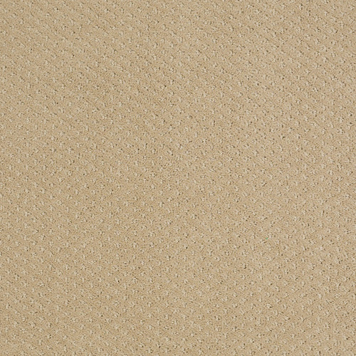 GENESIS - Fieldstone 00105