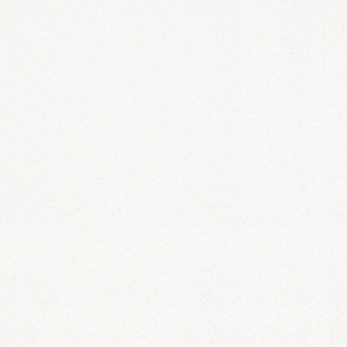 INFALLIBLE INSTINCT - White Hot 00170