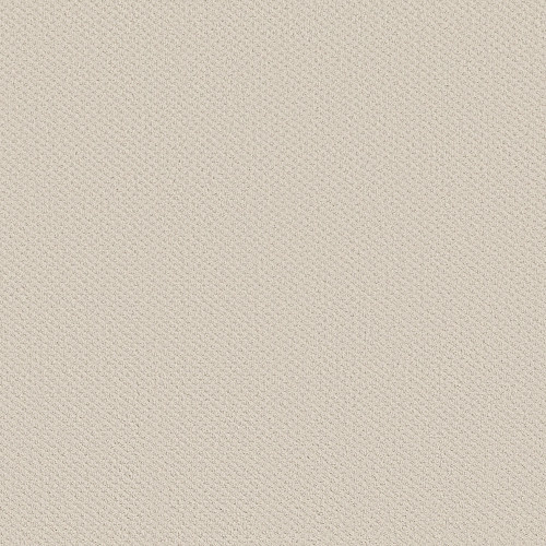 INFALLIBLE INSTINCT - Crisp Linen 00171