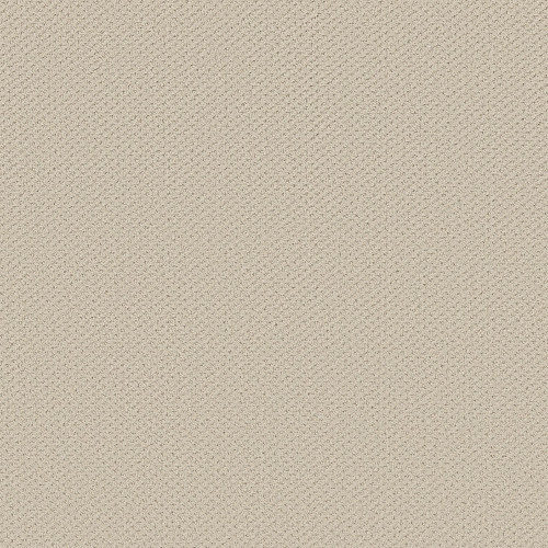INFALLIBLE INSTINCT - Alabaster 00172