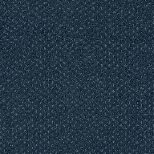 INFALLIBLE INSTINCT - Modern Spaces 00473