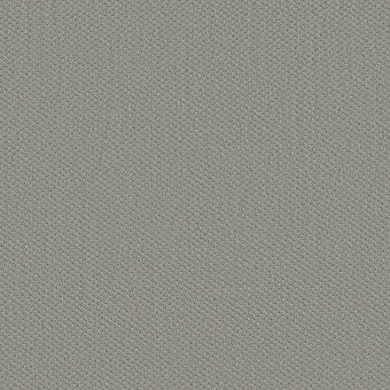 INFALLIBLE INSTINCT - Offshore Mist 00477