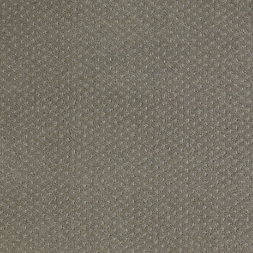 GENESIS - Pewter 00513