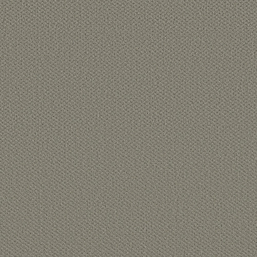 INFALLIBLE INSTINCT - Silhouette 00570