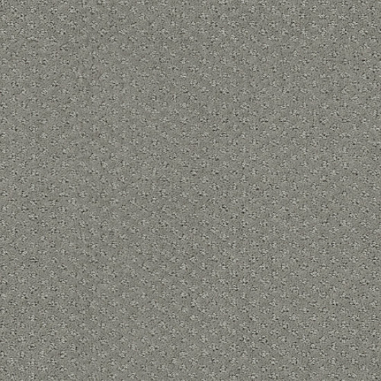 INFALLIBLE INSTINCT - Metal 00577