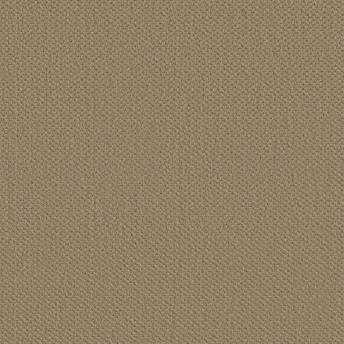 INFALLIBLE INSTINCT - Biscotti 00783