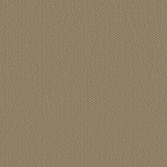 INFALLIBLE INSTINCT - Biscotti 00783