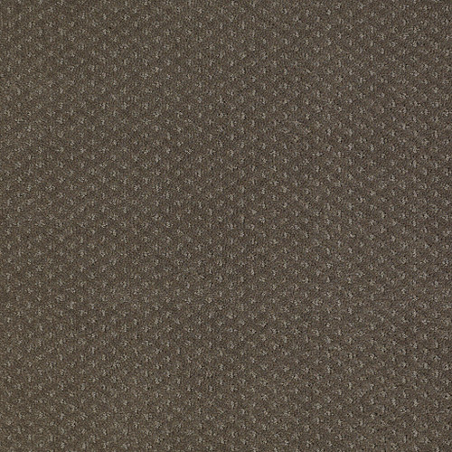 GENESIS - Graphite 00712