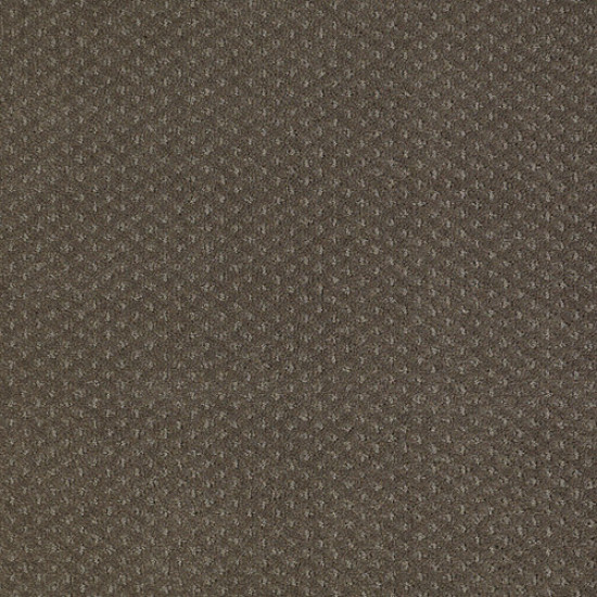 GENESIS - Graphite 00712 GENESIS - Graphite 00712