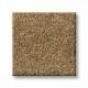 SERENDIPITY I - Tiger Eye 00223 SERENDIPITY I - Tiger Eye 00223