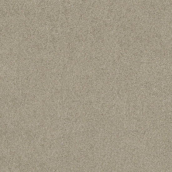 SERENDIPITY I - Gray Whisper 00515 SERENDIPITY I - Gray Whisper 00515