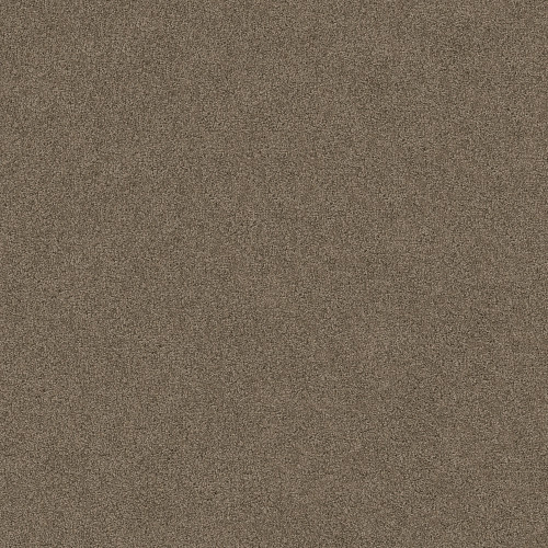 SERENDIPITY I - Simply Taupe 00572