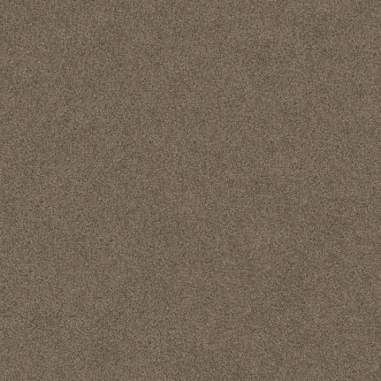 SERENDIPITY I - Simply Taupe 00572